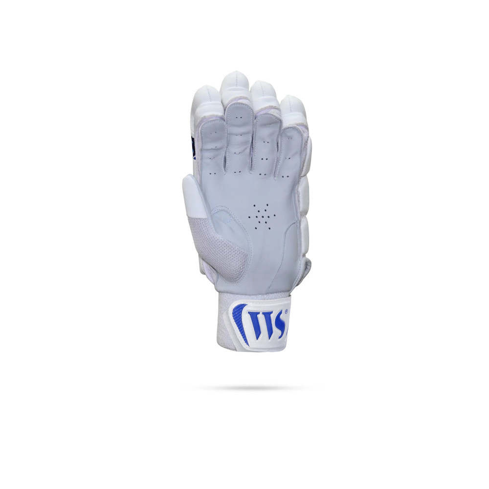 Whitedot Brave 6.0 Cricket Batting Gloves Whitedot Brave 6.0 Cricket Batting Gloves