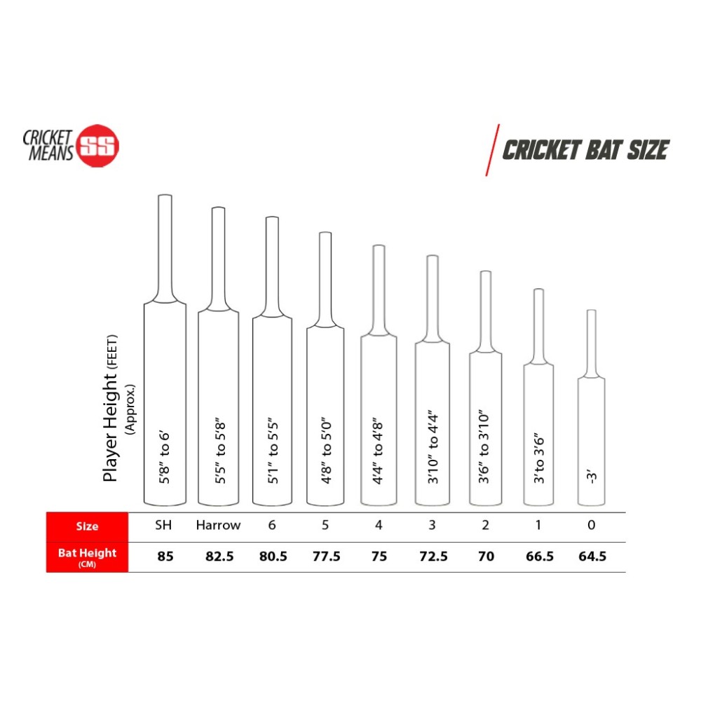 SS Vintage Platinum Kashmir Willow Cricket Bat