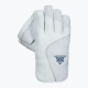 Whitedot Avocet Wicket Keeping Gloves