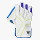 Whitedot Jay Wicket Keeping Gloves