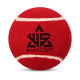 Red Heavy Cricket Tennis Ball - Pack of 6