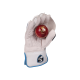 SG RSD Xtreme Wicket Keeping Gloves (Multi-Color) W.K. Gloves SG RSD Xtreme Wicket Keeping Gloves (Multi-Color) W.K. Gloves