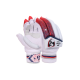 SG RP Club Batting gloves