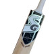 SG ROAR SPARK Kashmir Willow Cricket Bat