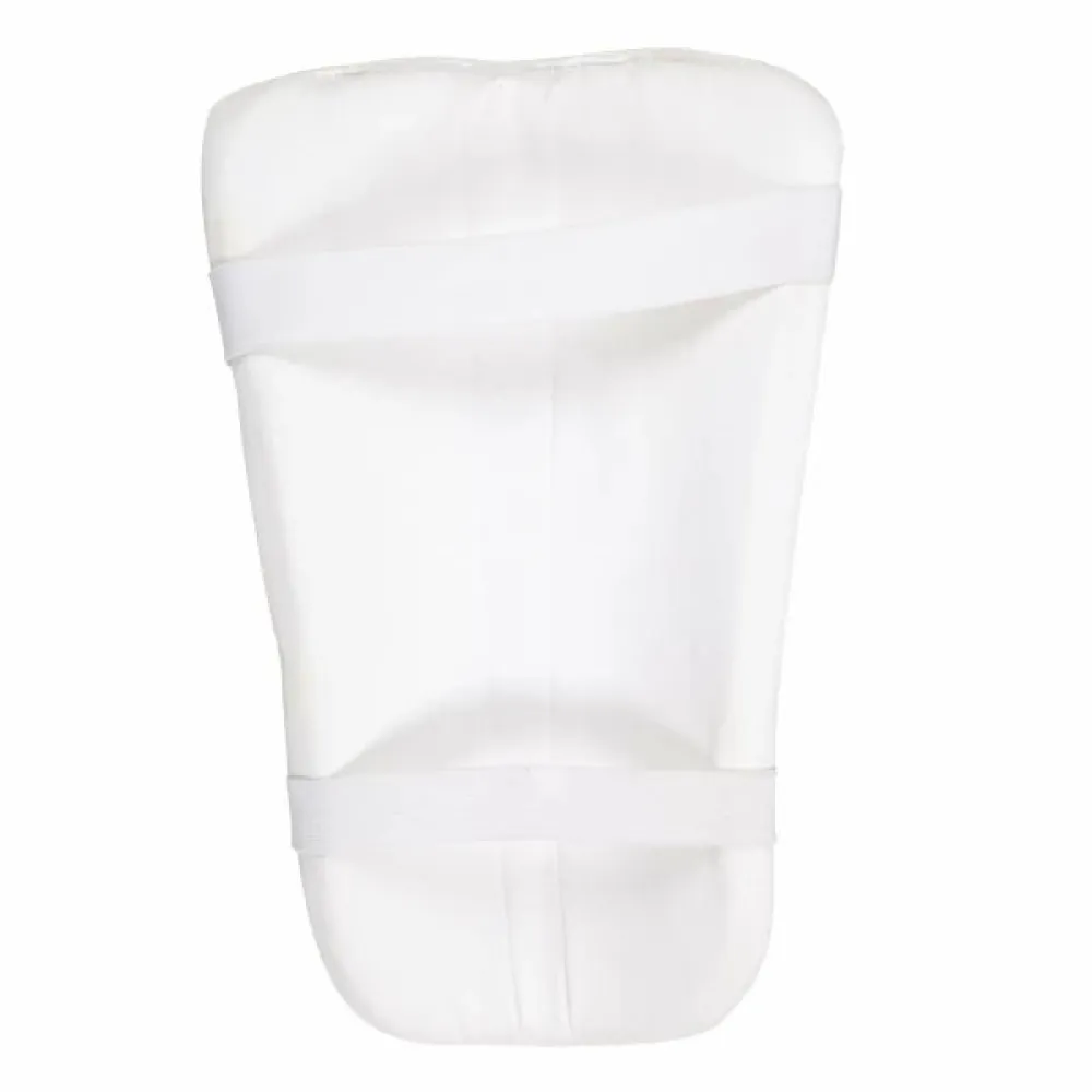 SG Test Cricket Thigh Pad