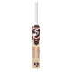 SG Roar Ultimate English Willow Cricket bat